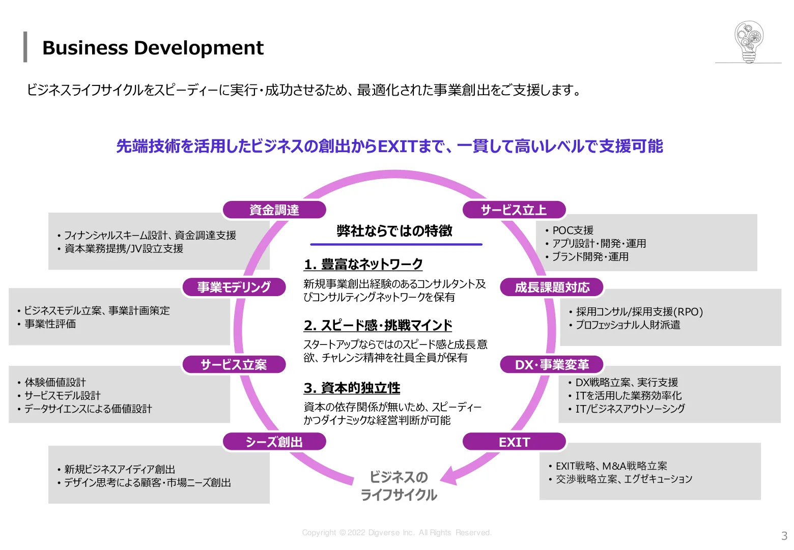 BusinessDigging 資料 4/10ページ